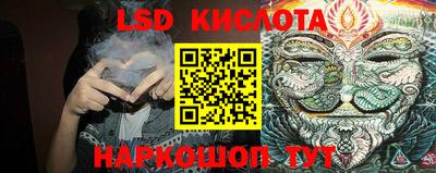 спиды Моздок
