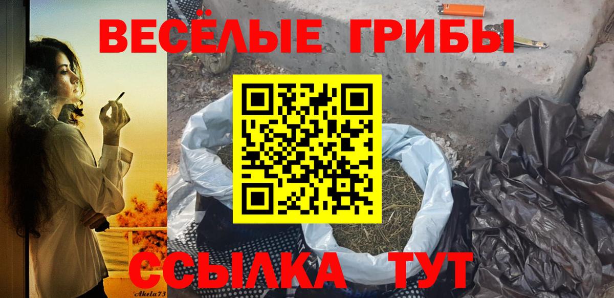 дарнет шоп  Вход с VPN  Строитель  Галлюциногенные грибы мухоморы  Галлюциногенные грибы GOLDEN TEACHER 