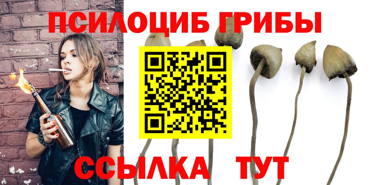 Псилоцибиновые грибы MAGIC MUSHROOMS Строитель